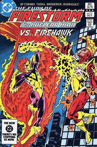 THE FURY OF THE FIRESTORM #17 1983