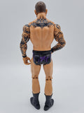 RANDY ORTON MATTEL WWE BASIC COLLECTION SERIES 25 2013